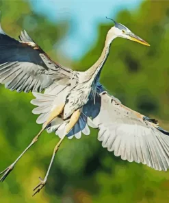Heron Bird Flying Diamond Painting