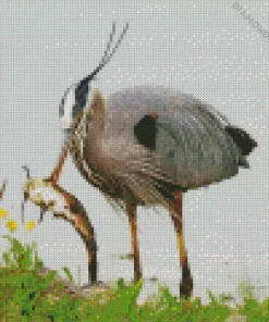 Heron Eating Fish Diamond Painting
