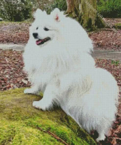 Japanese Spitz Dog Diamond Painting
