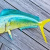 Mahi Mahi Fish Diamond Painting