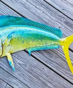 Mahi Mahi Fish Diamond Painting