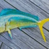 Mahi Mahi Fish Diamond Painting