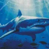 Megalodon Shark Diamond Painting