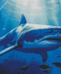 Megalodon Shark Diamond Painting