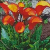 Orange Calla Lilies Diamond Painting