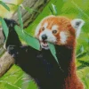 Red Panda Diamond Painting