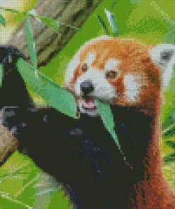 Red Panda Diamond Painting