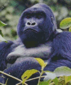 Silverback Gorilla Diamond Painting