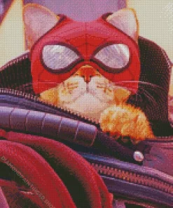 Spider Cat Diamond Painting