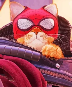 Spider Cat Diamond Painting