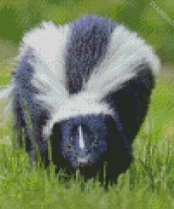 Striped Skunk Diamond Painting