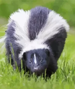 Striped Skunk Diamond Painting