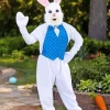 The Easter Bunny Diamond Painting