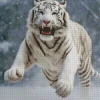 Tiger Roaring Diamond Painting