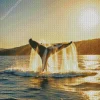 Whale Tail Diamond Painting