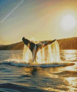 Whale Tail Diamond Painting