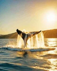 Whale Tail Diamond Painting