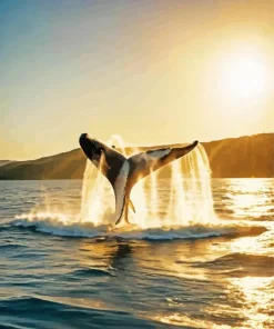 Whale Tail Diamond Painting