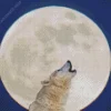 Wolf In Moon Diamond Painting