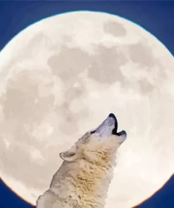 Wolf In Moon Diamond Painting
