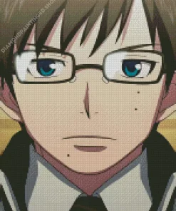 Yukio Okumura Diamond Painting