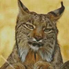 Cool Bobcat Face Diamond Painting
