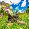 Hiking Boots Diamond Painting