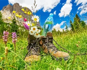 Hiking Boots Diamond Painting