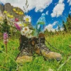 Hiking Boots Diamond Painting