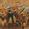 Hog Animals Diamond Painting