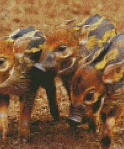 Hog Animals Diamond Painting